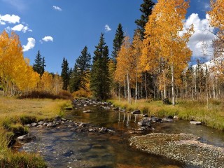 Пазл #63891