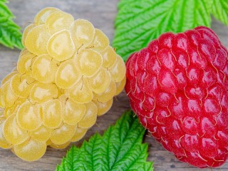 Пазл «Малина»