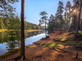 Пазл #52438