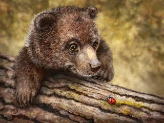 Пазл #63541