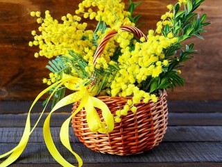 Пазл «Мимоза»