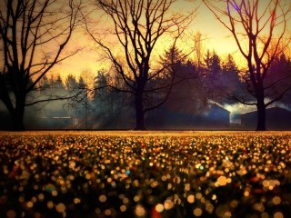 Пазл #62152