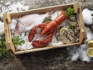 Пазл «Морепродукты»