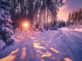 Пазл #57151