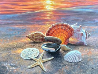 Пазл «Морские раковины»