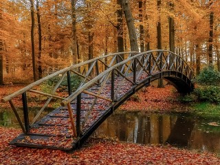 Пазл «Мост»