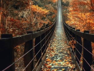 Пазл «Мост через осень»
