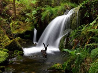 Пазл «Moussey-Praye»