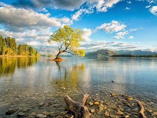 Пазл «На озере Ванака»
