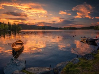 Пазл #64011