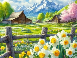 Пазл «Нарциссы»