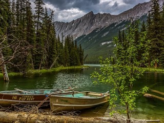 Пазл #65208