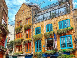 Пазл «Neal's Yard»
