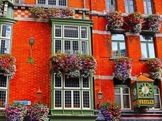 Пазл «O'Neill's pub»