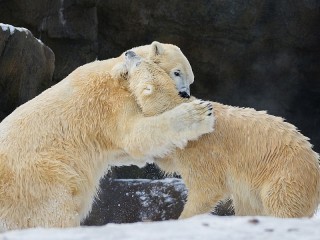 Пазл «Обнимашки»