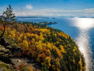 Пазл #32010
