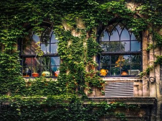 Пазл «Окна»