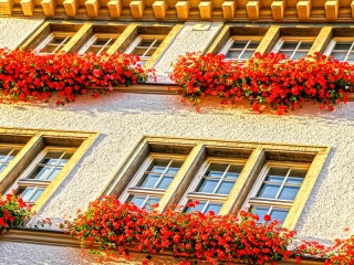 Пазл «Окна»