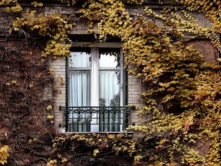 Пазл #20883