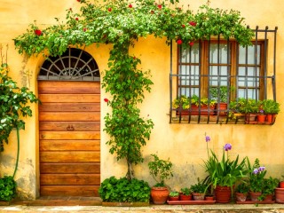 Пазл «Окно во двор»