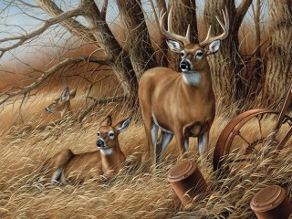 Пазл «Олени»