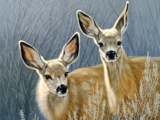 Пазл «Олени»