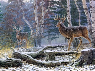 Пазл #56992