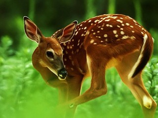 Пазл «Оленёнок»