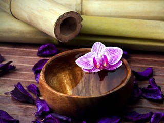 Пазл «Орхидея в воде»