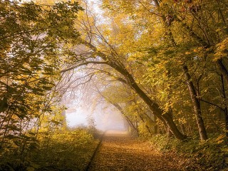 Пазл #59597