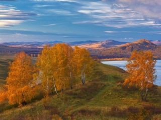 Пазл #46720
