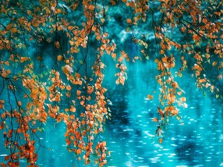 Пазл #37528