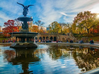 Пазл #61882