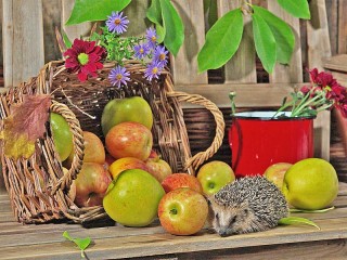 Пазл «Осенний натюрморт»