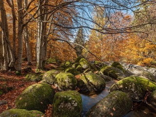 Пазл #70360