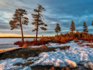 Пазл «Осенний закат на листьях»
