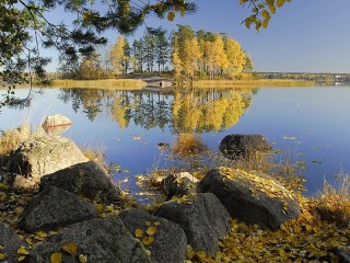 Пазл #24822