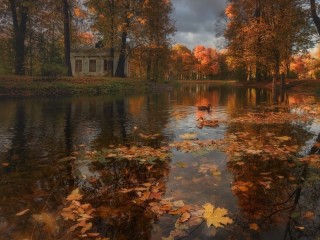 Пазл #26638