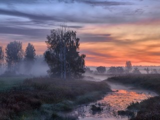 Пазл #16447