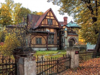 Пазл #64704