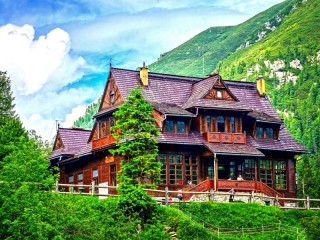 Пазл #68642