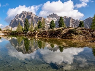 Пазл #56716
