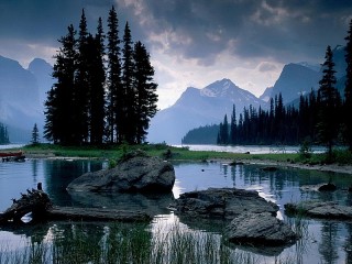 Пазл #63891