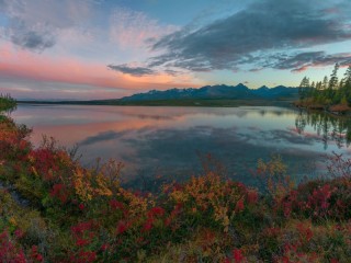 Пазл #44624