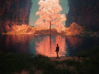 Пазл #50246