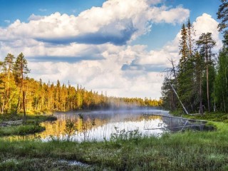 Пазл #49961