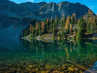 Пазл #50356