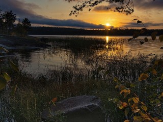 Пазл #47281