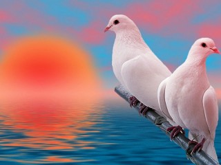 Пазл #49818