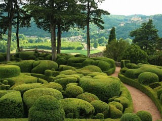 Пазл «Парк»